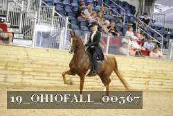 19_OHIOFALL_00567 proof