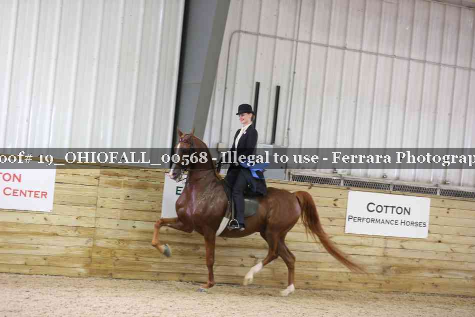 Proof 19_OHIOFALL_00568