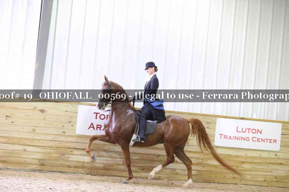 Proof 19_OHIOFALL_00569