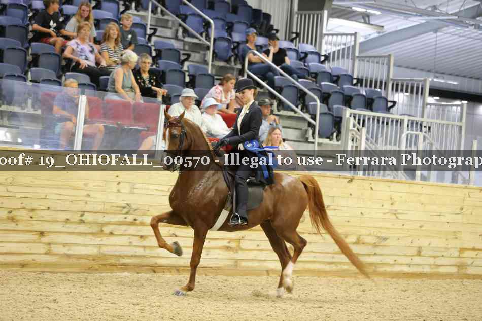 Proof 19_OHIOFALL_00570