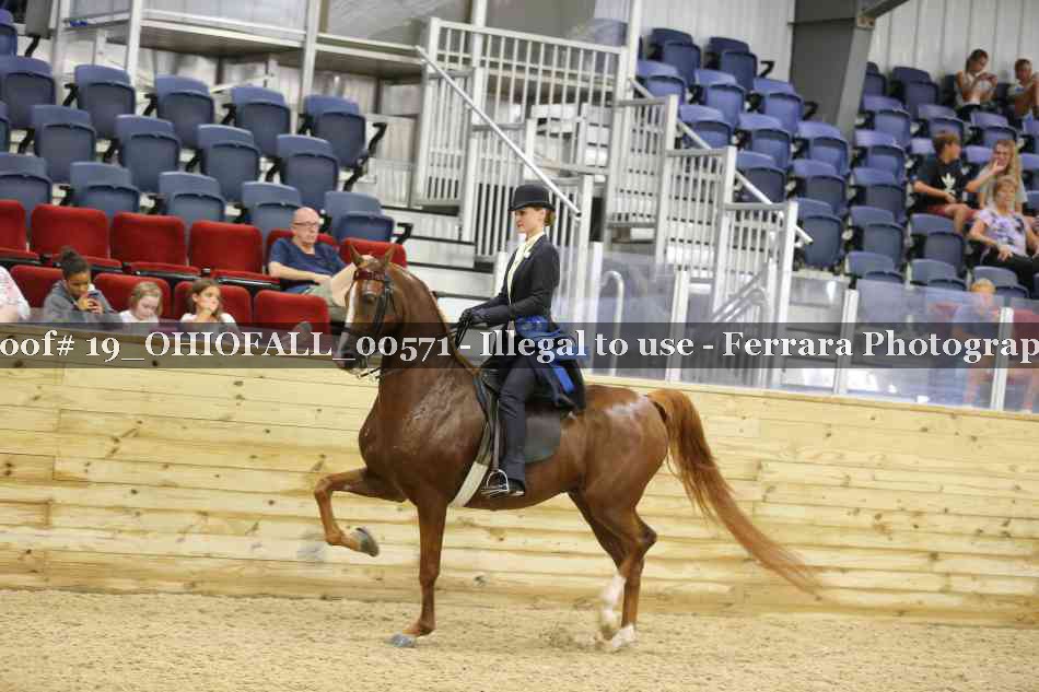 Proof 19_OHIOFALL_00571