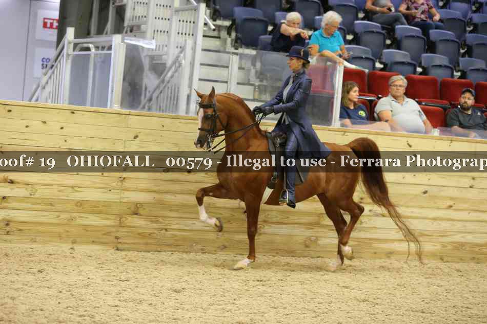 Proof 19_OHIOFALL_00579