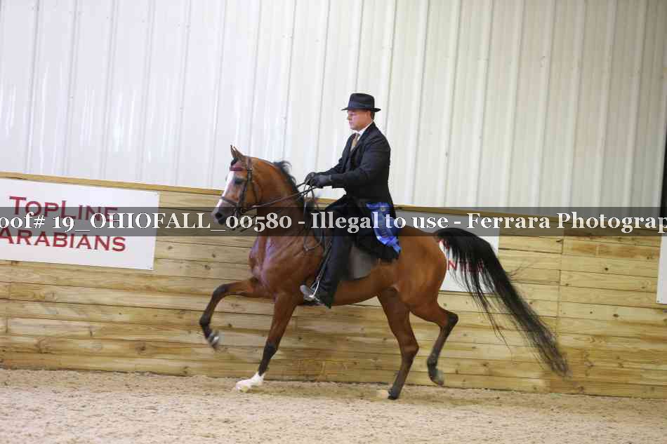 Proof 19_OHIOFALL_00580