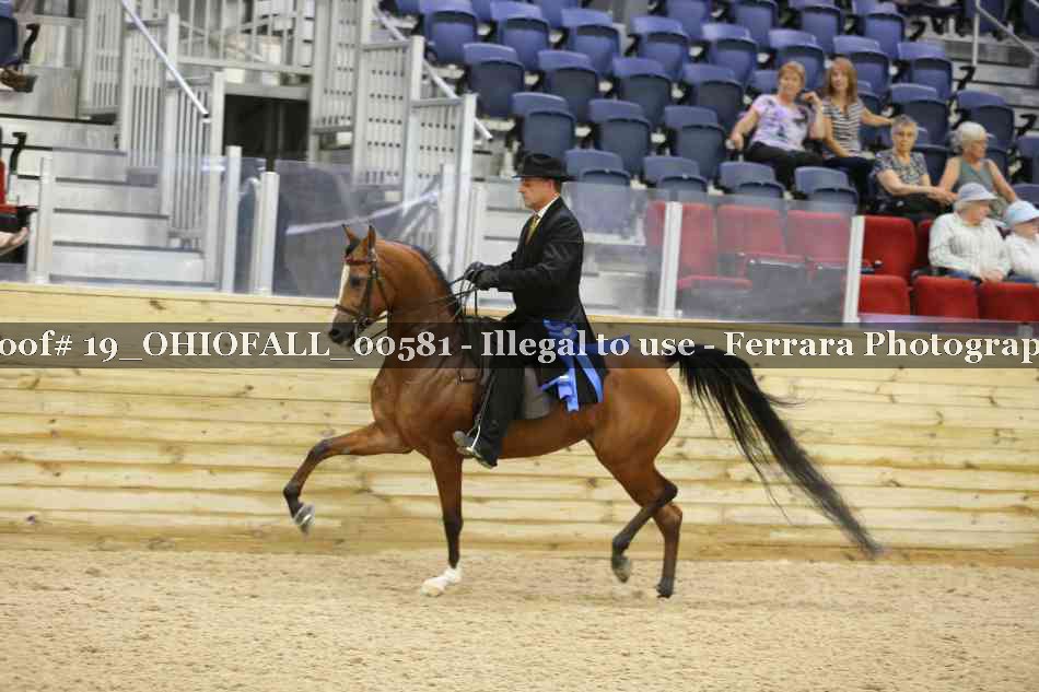 Proof 19_OHIOFALL_00581