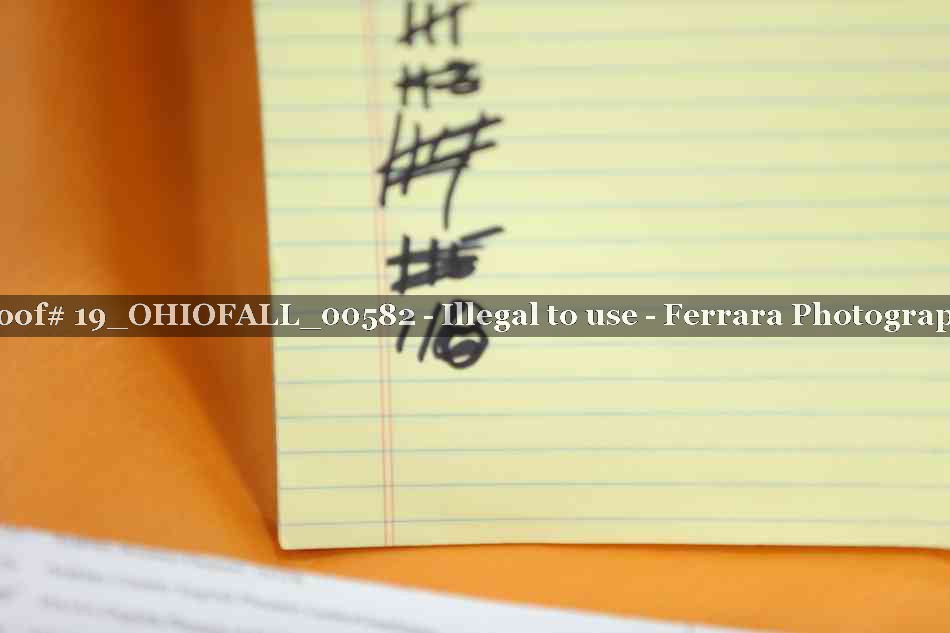 Proof 19_OHIOFALL_00582