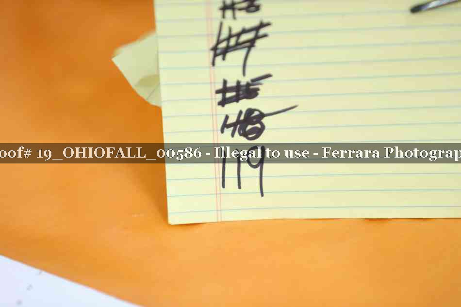 Proof 19_OHIOFALL_00586