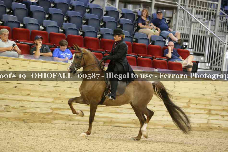 Proof 19_OHIOFALL_00587