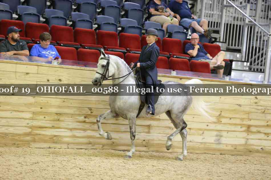 Proof 19_OHIOFALL_00588