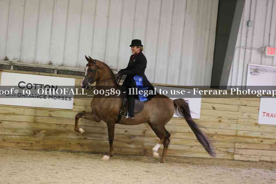 Proof 19_OHIOFALL_00589