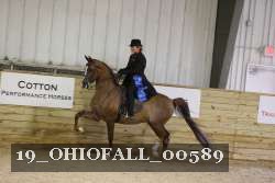 19_OHIOFALL_00589 proof