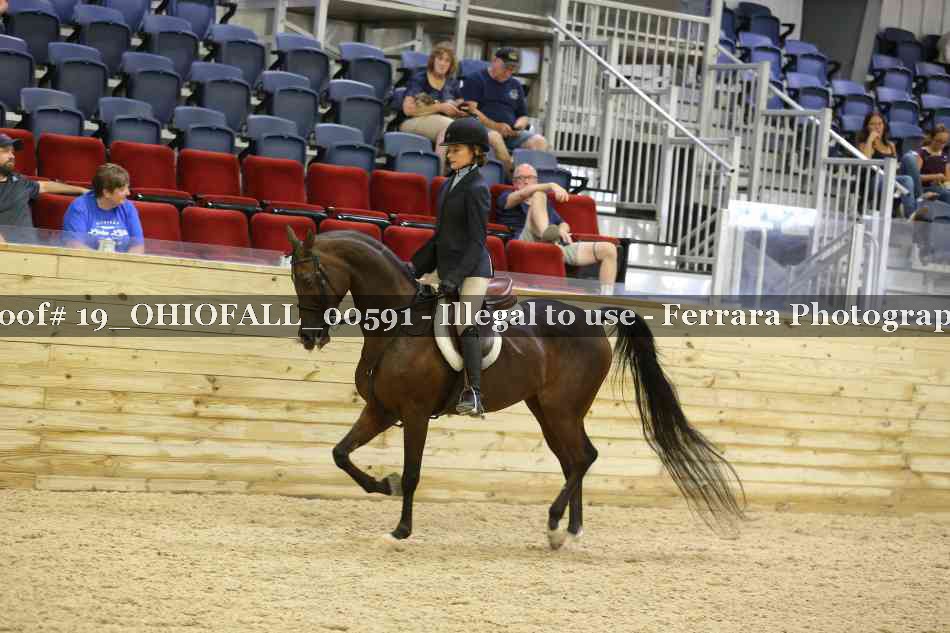 Proof 19_OHIOFALL_00591