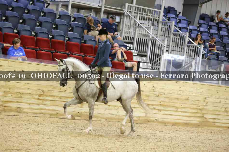 Proof 19_OHIOFALL_00592