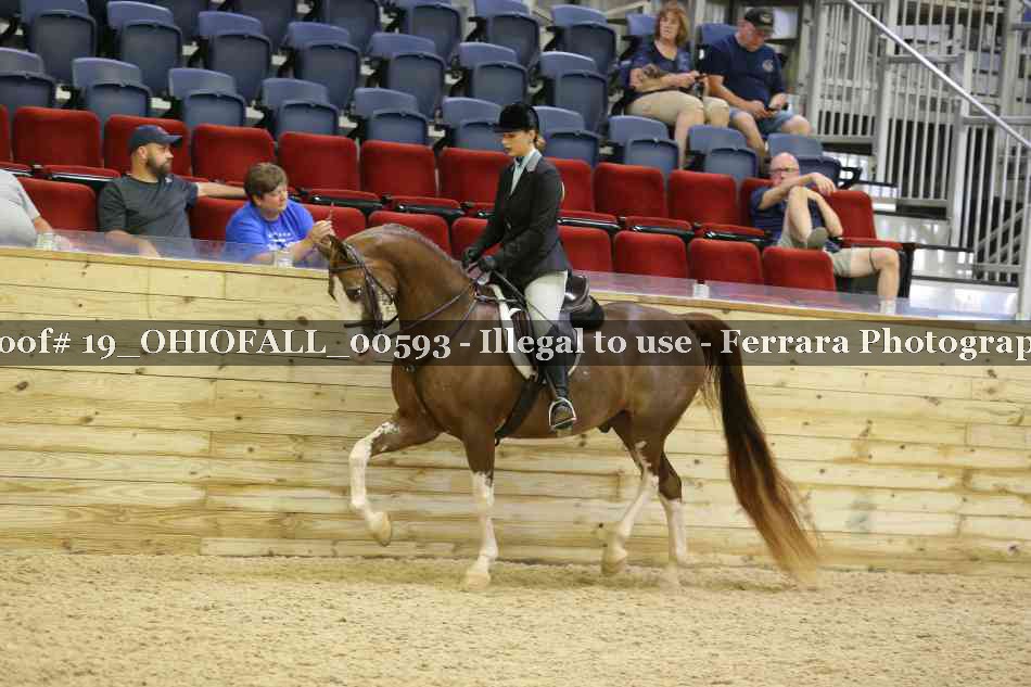 Proof 19_OHIOFALL_00593