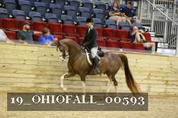 19_OHIOFALL_00593 proof