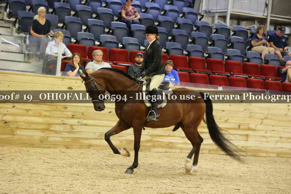 Proof 19_OHIOFALL_00594