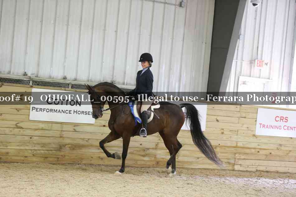 Proof 19_OHIOFALL_00595
