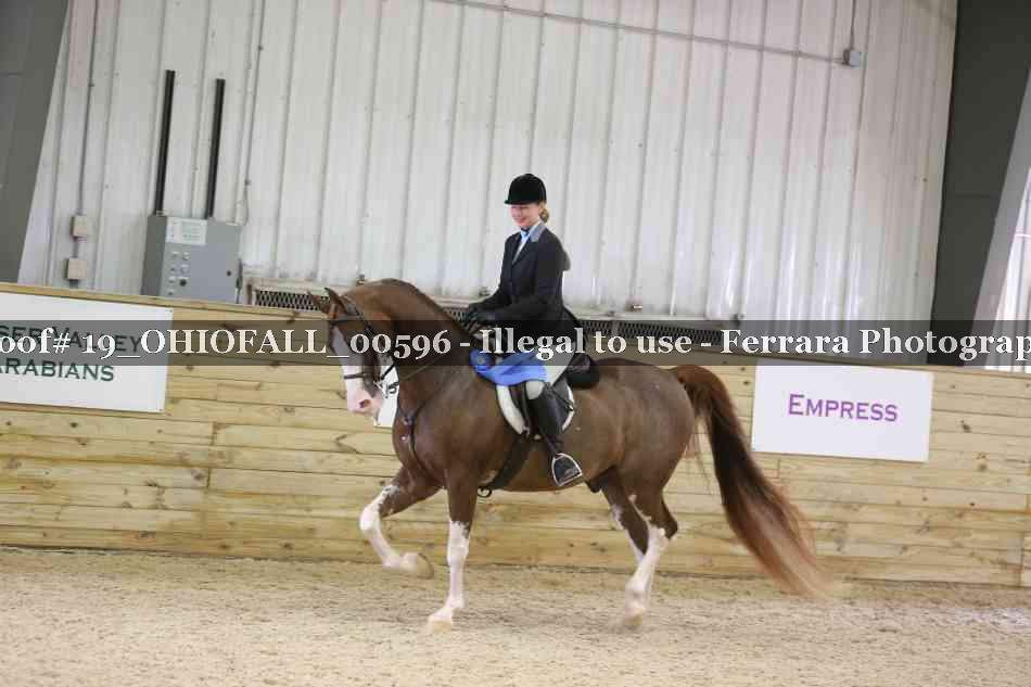 Proof 19_OHIOFALL_00596