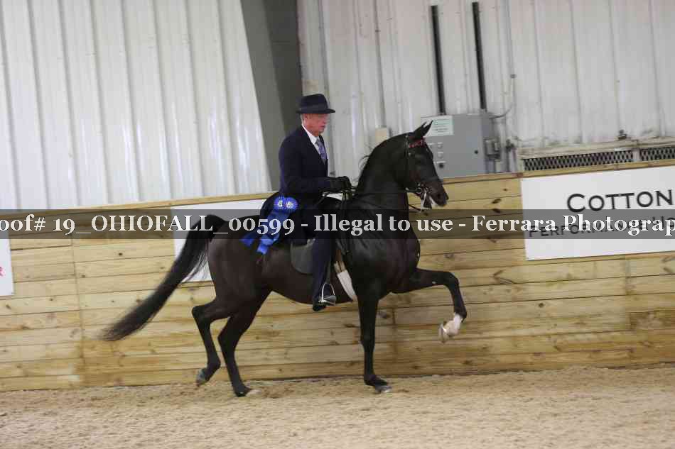 Proof 19_OHIOFALL_00599