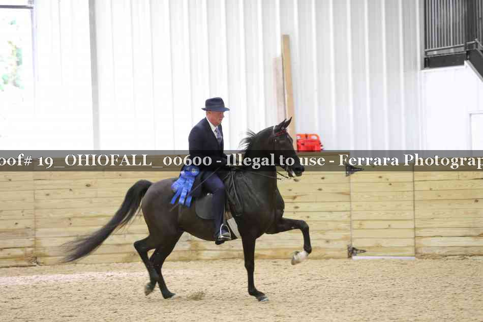 Proof 19_OHIOFALL_00600