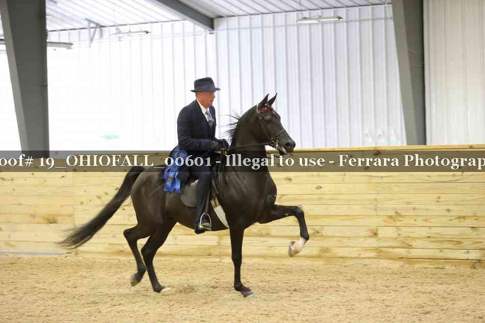 Proof 19_OHIOFALL_00601