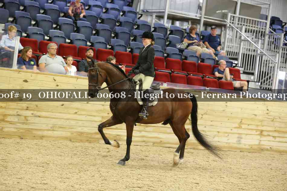 Proof 19_OHIOFALL_00608
