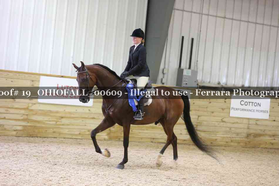 Proof 19_OHIOFALL_00609