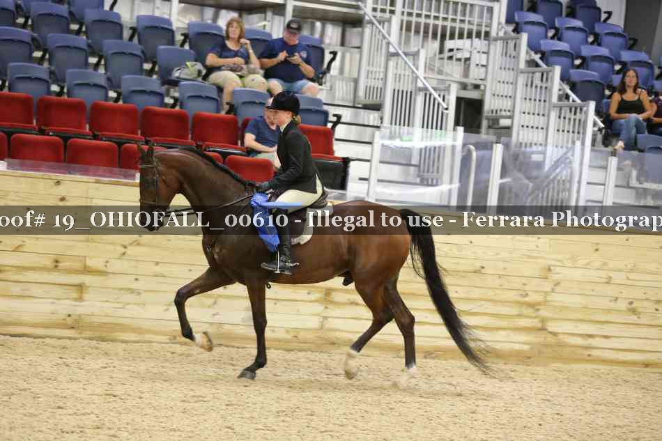 Proof 19_OHIOFALL_00610