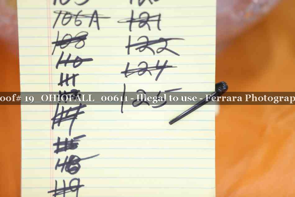 Proof 19_OHIOFALL_00611