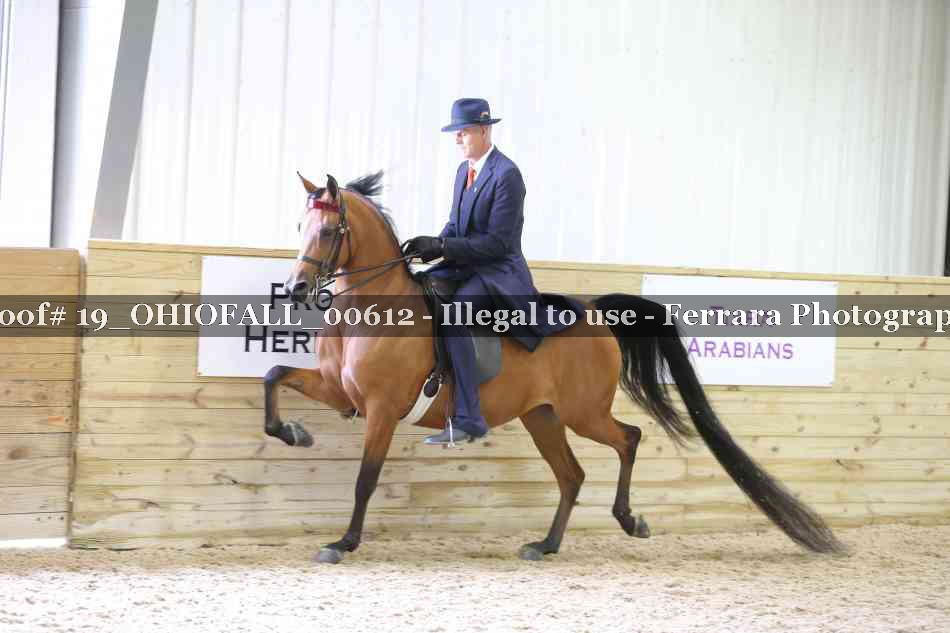 Proof 19_OHIOFALL_00612
