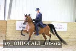 19_OHIOFALL_00612 proof