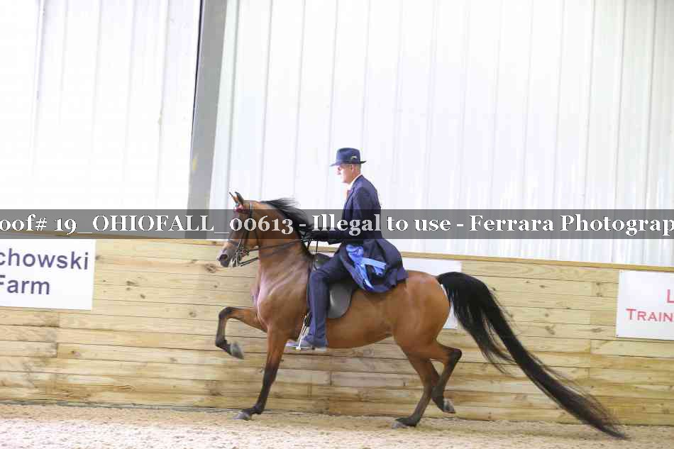 Proof 19_OHIOFALL_00613