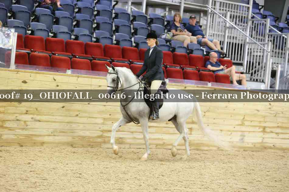 Proof 19_OHIOFALL_00616