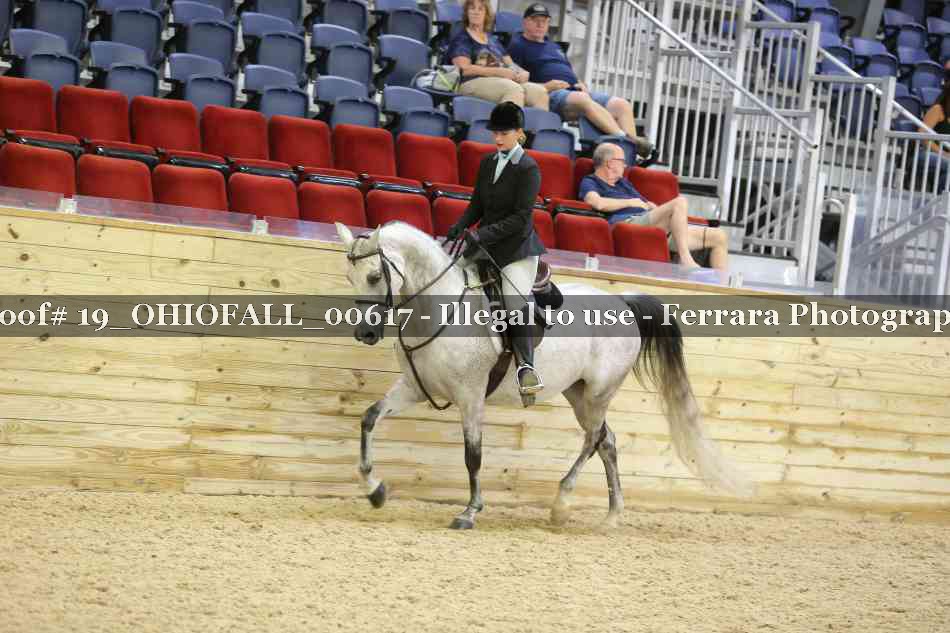 Proof 19_OHIOFALL_00617