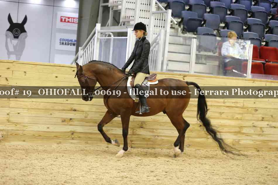 Proof 19_OHIOFALL_00619