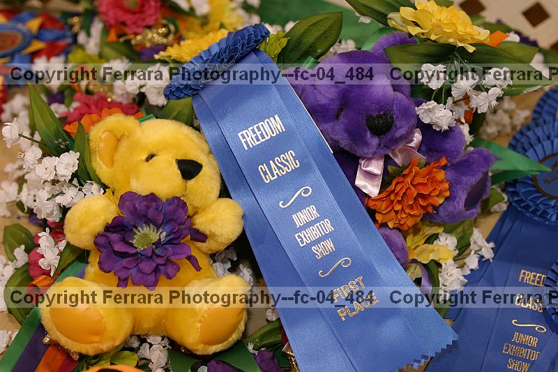 Proof fc-04_484