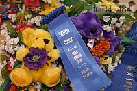 fc-04_484 proof
