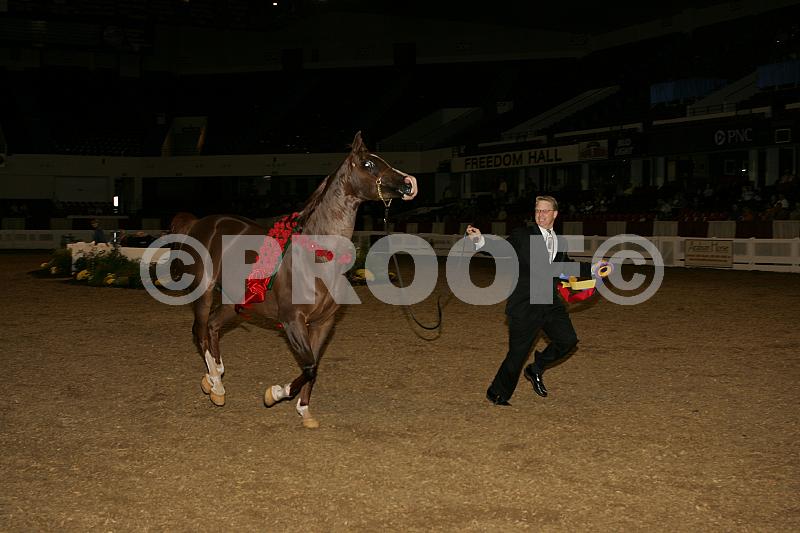 Proof 04usn-1351