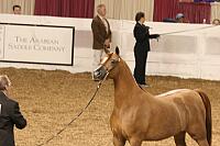 04usn-1465 proof