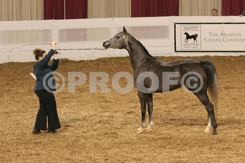 Proof 04usn-1466