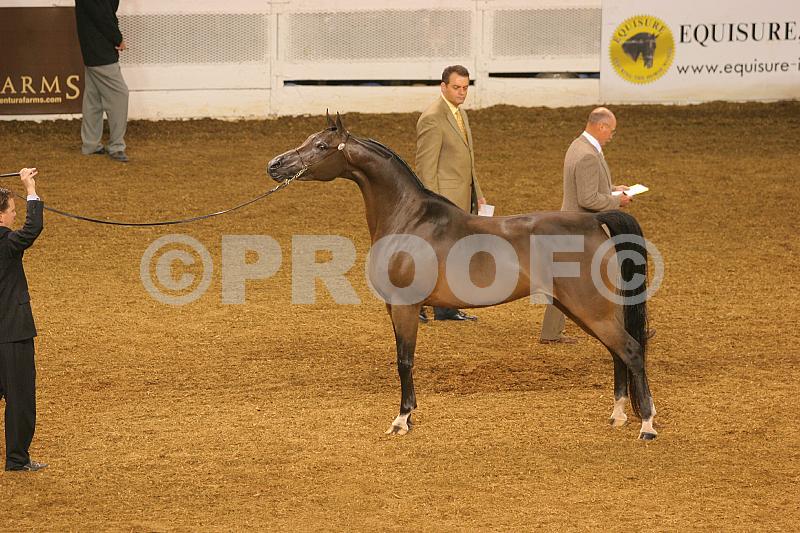 Proof 04usn-4826