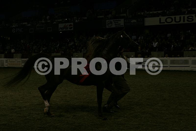 Proof 04usn-5501