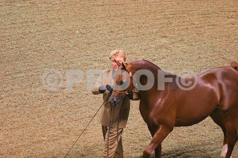 Proof 04usn-5581