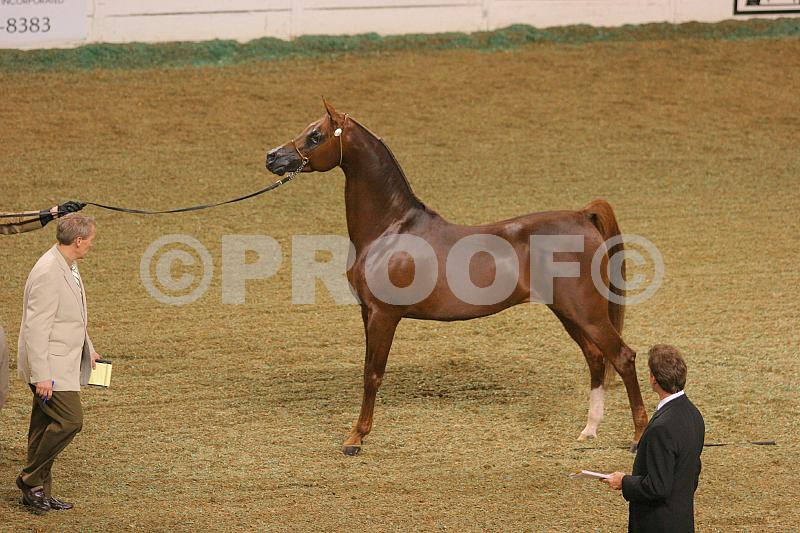Proof 04usn-5591
