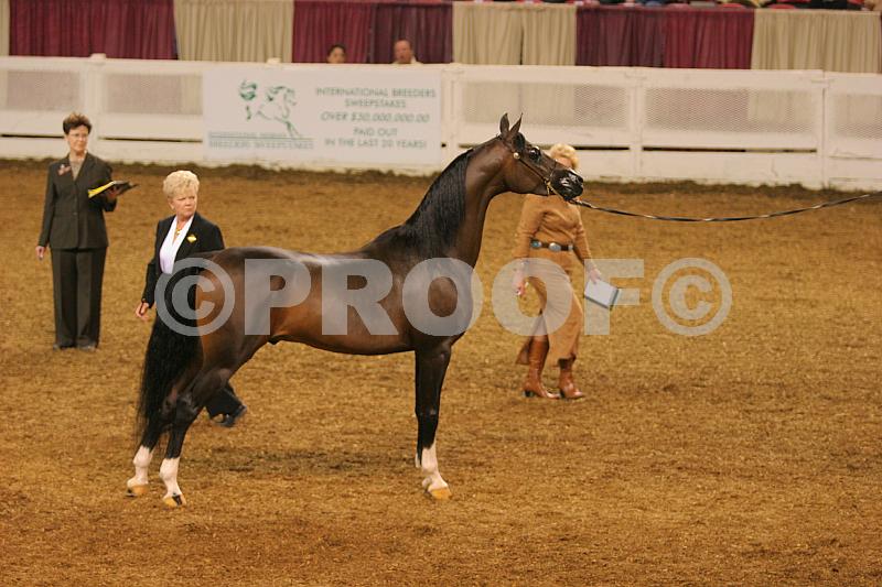 Proof 04usn-3573