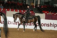 04usn-0254 proof