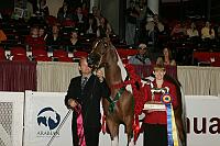 04usn-3471 proof