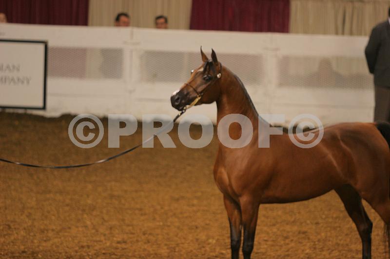 Proof 04usn-3546