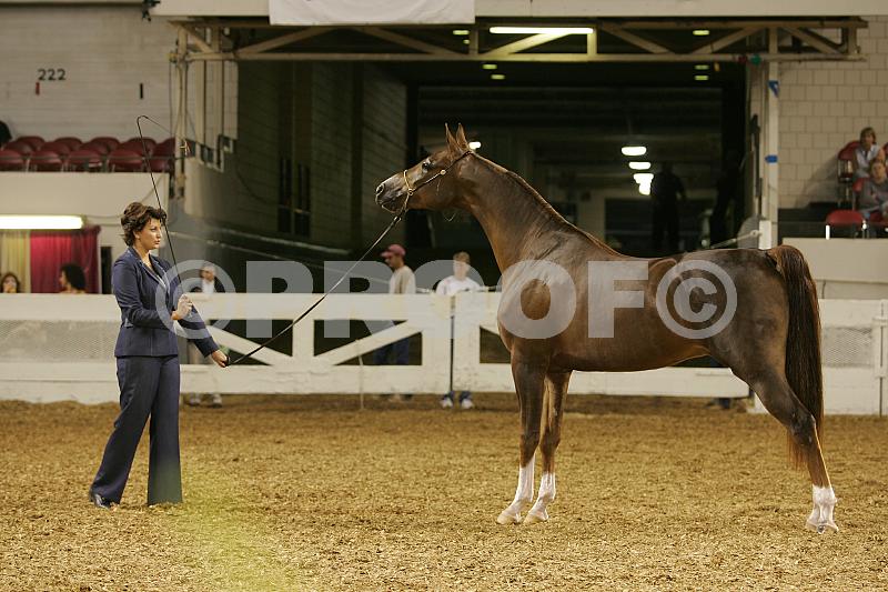 Proof 04usn-1195