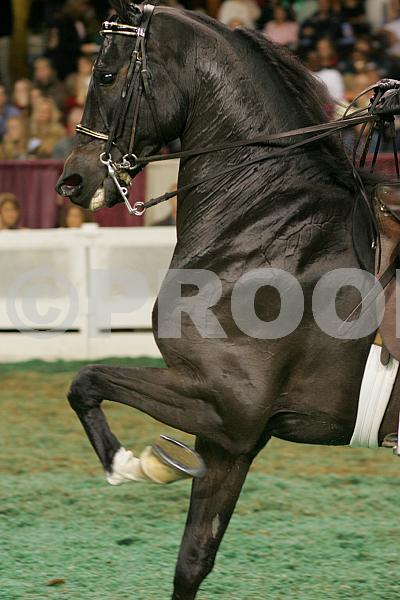 Proof 04usn-5994