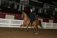 04usn-0938 proof